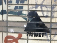 Tort of Privacy in NSW? Not This Time…
