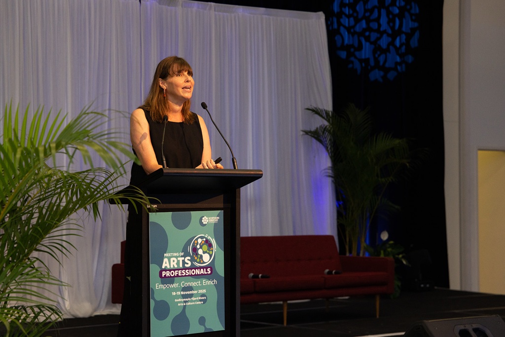 Arts Law presenting at MAPs NT